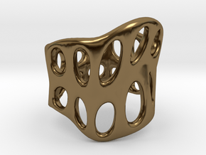 S3r031s8 GenusReticulum in Polished Bronze