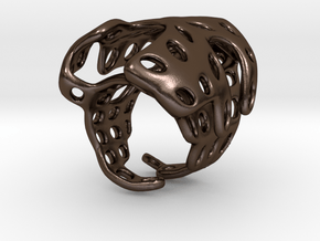 S4r019s8 GenusReticulum in Polished Bronze Steel