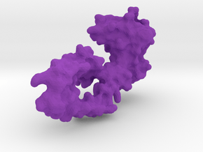 3_RanGAP1 in Purple Processed Versatile Plastic