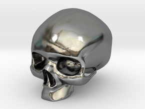 Skull in Polished Silver