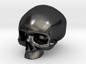 Skull in Polished and Bronzed Black Steel