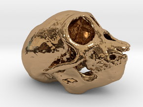 Spider Monkey Skull 50mm in Polished Brass