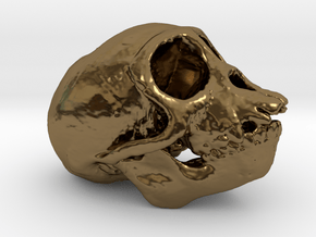 Spider Monkey Skull 50mm in Polished Bronze