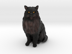 Custom Cat Figurine - Guizmo in Full Color Sandstone