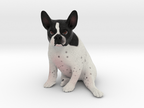 Custom Dog Figurine - Pocky in Full Color Sandstone