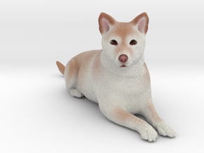Custom Dog Figurine - Foxy in Full Color Sandstone