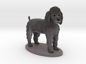Custom Dog Figurine - Ashton Coal  in Full Color Sandstone