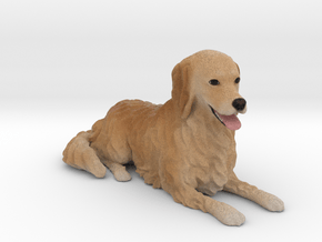 Custom Dog Figurine - Komugi in Full Color Sandstone