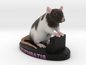 Custom Rat Figurine - Euphratis in Full Color Sandstone