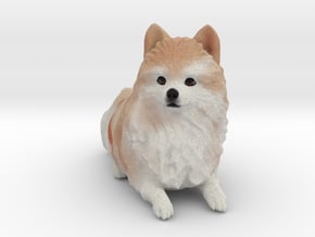 Custom Dog Figurine - Duncan in Full Color Sandstone