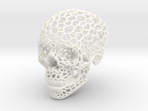 Voronoi Skeletonized Skull in White Processed Versatile Plastic