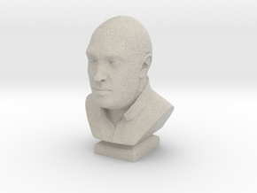 Human head bust in Natural Sandstone