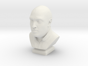 Human head bust in White Natural Versatile Plastic