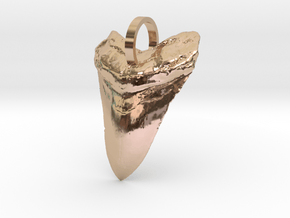 Megalodon Shark Tooth in 14k Rose Gold Plated Brass
