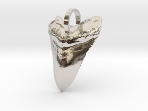 Megalodon Shark Tooth in Rhodium Plated Brass
