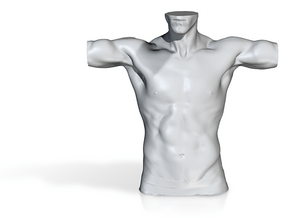 Digital-Man Body Part 004 scale in 4cm in Man Body Part 004