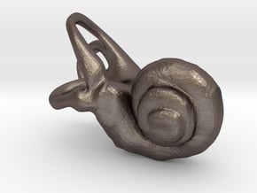 Right Inner Ear Cochlea Pendant in Polished Bronzed Silver Steel