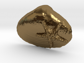 Seashell Pendant 1 in Polished Bronze