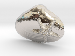 Seashell Pendant 1 in Rhodium Plated Brass