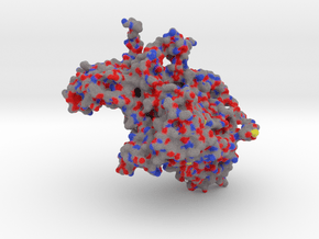Polio Virus (Monomer) - 5 million X in Full Color Sandstone