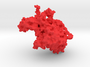 Polio Virus (Monomer) - 5 million X in Red Processed Versatile Plastic