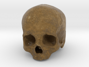 Cranium SF002 in Full Color Sandstone