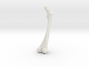 Femur - OP - Medium in White Natural Versatile Plastic