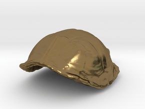 Eastern Box Turtle Pendant in Polished Bronze