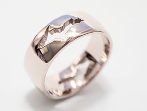Upper Peninsula Comfort-Fit Ring  in Fine Detail Polished Silver: 10 / 61.5