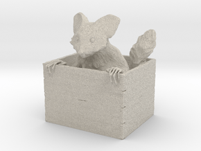 Ayeaye in a Box in Natural Sandstone