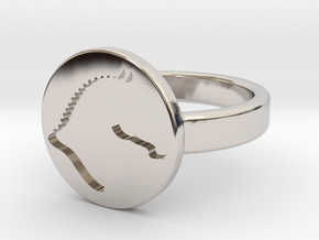 Signet Ring (TheMarketingsmith) in Platinum