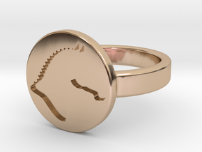 Signet Ring (TheMarketingsmith) in 14k Rose Gold Plated Brass