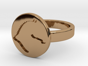 Signet Ring (TheMarketingsmith) in Polished Brass