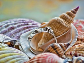Sea Shell Ring 1 - US-Size 6 1/2 (16.92 mm) in Polished Silver