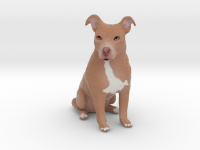 Custom Dog Figurine - Jackson in Full Color Sandstone