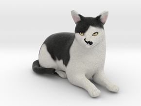 Custom Cat Figurine - Hitler in Full Color Sandstone