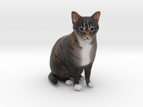 Custom Cat Figurine - Champ in Full Color Sandstone