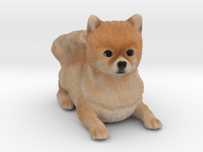 Custom Dog Figurine - Lula in Full Color Sandstone