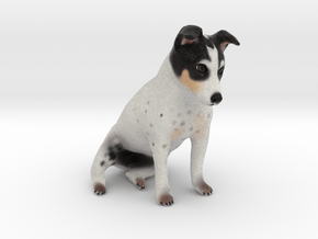 Custom Dog Figurine - Lifta in Full Color Sandstone