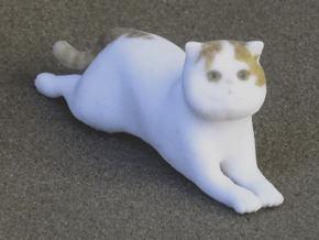 Laying Exotic Shorthair Cat in Full Color Sandstone