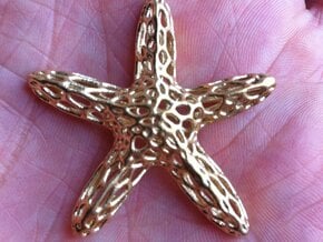 Starfish-voronoi2b Smooth-tr1 Rescaled(0.54) in Natural Brass