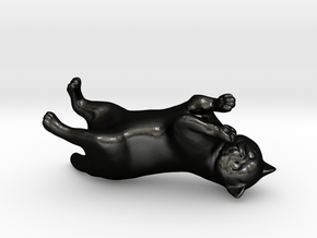 Rolling Exotic Shorthair Cat in Matte Black Steel