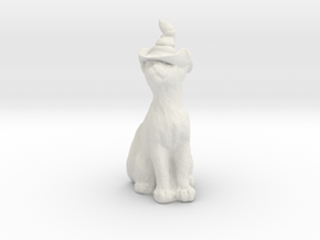Cat In Witches Hat in White Natural Versatile Plastic