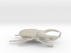 Atlas Beetle figurine/brooch in Natural Sandstone