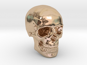1/24  Human Skull Crane Schädel че́реп in 14k Rose Gold Plated Brass