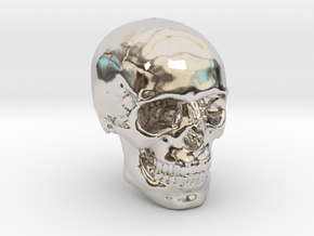 1/24  Human Skull Crane Schädel че́реп in Rhodium Plated Brass