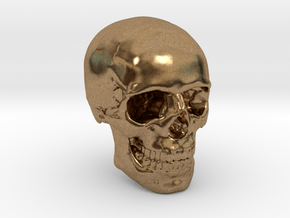 1/24  Human Skull Crane Schädel че́реп in Natural Brass