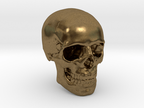 1/24  Human Skull Crane Schädel че́реп in Natural Bronze