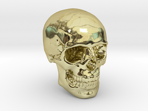 1/24  Human Skull Crane Schädel че́реп in 18k Gold