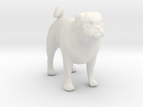 Standing Fawn Pug in White Natural Versatile Plastic